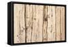 The Old Wood Texture with Natural Patterns-Madredus-Framed Stretched Canvas