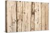 The Old Wood Texture with Natural Patterns-Madredus-Stretched Canvas