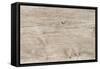 The Old Wood Texture with Natural Patterns-Madredus-Framed Stretched Canvas