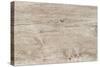 The Old Wood Texture with Natural Patterns-Madredus-Stretched Canvas