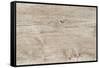 The Old Wood Texture with Natural Patterns-Madredus-Framed Stretched Canvas