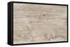 The Old Wood Texture with Natural Patterns-Madredus-Framed Stretched Canvas