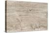 The Old Wood Texture with Natural Patterns-Madredus-Stretched Canvas