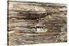 The Old Wood Texture with Natural Patterns-Madredus-Stretched Canvas