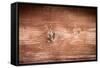 The Old Wood Texture with Natural Patterns-Madredus-Framed Stretched Canvas