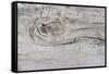 The Old Wood Texture with Natural Patterns-Madredus-Framed Stretched Canvas