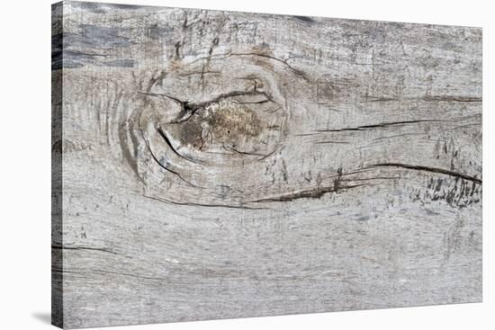 The Old Wood Texture with Natural Patterns-Madredus-Stretched Canvas