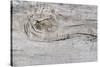 The Old Wood Texture with Natural Patterns-Madredus-Stretched Canvas