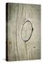 The Old Wood Texture with Natural Patterns-Madredus-Stretched Canvas