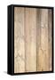 The Old Wood Texture with Natural Patterns-Madredus-Framed Stretched Canvas