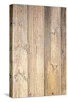 The Old Wood Texture with Natural Patterns-Madredus-Stretched Canvas