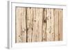 The Old Wood Texture with Natural Patterns-Madredus-Framed Photographic Print