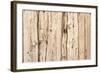 The Old Wood Texture with Natural Patterns-Madredus-Framed Photographic Print