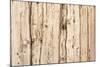 The Old Wood Texture with Natural Patterns-Madredus-Mounted Photographic Print