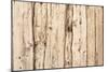 The Old Wood Texture with Natural Patterns-Madredus-Mounted Photographic Print