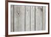 The Old Wood Texture with Natural Patterns-Madredus-Framed Photographic Print