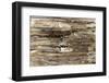 The Old Wood Texture with Natural Patterns-Madredus-Framed Photographic Print