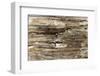 The Old Wood Texture with Natural Patterns-Madredus-Framed Photographic Print