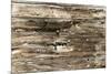 The Old Wood Texture with Natural Patterns-Madredus-Mounted Photographic Print