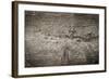 The Old Wood Texture with Natural Patterns-Madredus-Framed Photographic Print