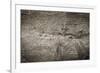 The Old Wood Texture with Natural Patterns-Madredus-Framed Photographic Print