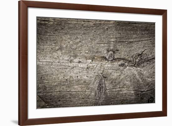 The Old Wood Texture with Natural Patterns-Madredus-Framed Photographic Print