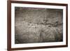 The Old Wood Texture with Natural Patterns-Madredus-Framed Photographic Print