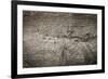 The Old Wood Texture with Natural Patterns-Madredus-Framed Photographic Print