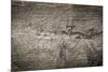 The Old Wood Texture with Natural Patterns-Madredus-Mounted Photographic Print