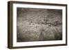 The Old Wood Texture with Natural Patterns-Madredus-Framed Photographic Print