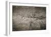 The Old Wood Texture with Natural Patterns-Madredus-Framed Photographic Print