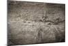 The Old Wood Texture with Natural Patterns-Madredus-Mounted Photographic Print