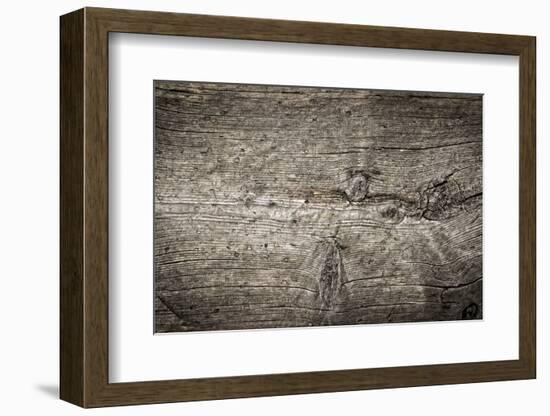 The Old Wood Texture with Natural Patterns-Madredus-Framed Photographic Print