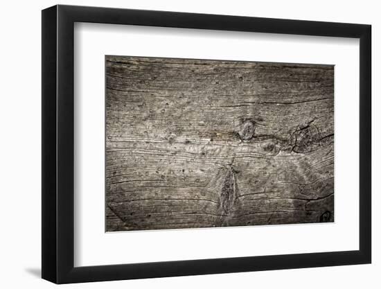 The Old Wood Texture with Natural Patterns-Madredus-Framed Photographic Print