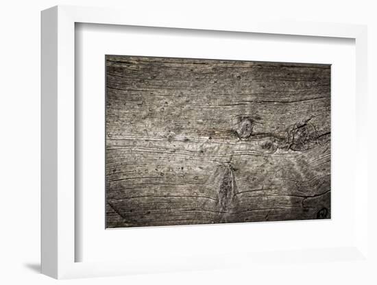 The Old Wood Texture with Natural Patterns-Madredus-Framed Photographic Print