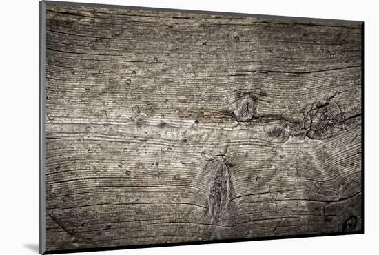 The Old Wood Texture with Natural Patterns-Madredus-Mounted Photographic Print