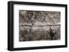 The Old Wood Texture with Natural Patterns-Madredus-Framed Photographic Print