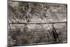 The Old Wood Texture with Natural Patterns-Madredus-Mounted Photographic Print