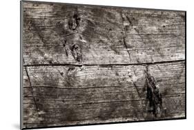 The Old Wood Texture with Natural Patterns-Madredus-Mounted Photographic Print