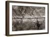 The Old Wood Texture with Natural Patterns-Madredus-Framed Photographic Print