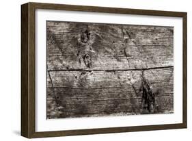 The Old Wood Texture with Natural Patterns-Madredus-Framed Photographic Print