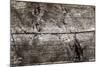 The Old Wood Texture with Natural Patterns-Madredus-Mounted Photographic Print