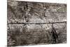 The Old Wood Texture with Natural Patterns-Madredus-Mounted Photographic Print