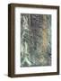 The Old Wood Texture with Natural Patterns-Madredus-Framed Photographic Print