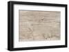 The Old Wood Texture with Natural Patterns-Madredus-Framed Photographic Print