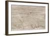 The Old Wood Texture with Natural Patterns-Madredus-Framed Photographic Print