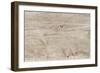 The Old Wood Texture with Natural Patterns-Madredus-Framed Photographic Print