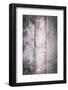 The Old Wood Texture with Natural Patterns-Madredus-Framed Photographic Print