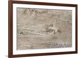 The Old Wood Texture with Natural Patterns-Madredus-Framed Photographic Print