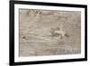 The Old Wood Texture with Natural Patterns-Madredus-Framed Photographic Print